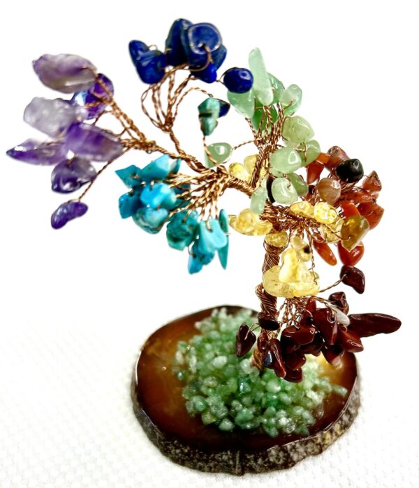 Chakras Bonsai Tree - Image 4